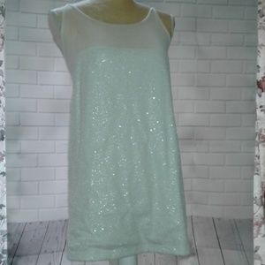 Lane Bryant ElegantTunic/Dress